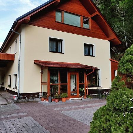 Seeblick Krippenstein Obertraun Exterior foto