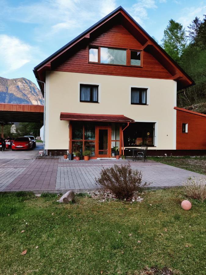 Seeblick Krippenstein Obertraun Exterior foto