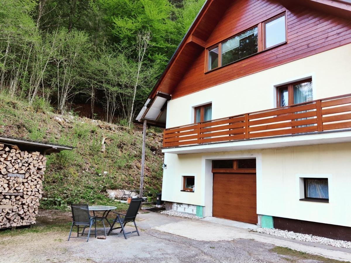 Seeblick Krippenstein Obertraun Exterior foto